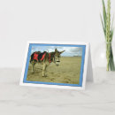 Search for donkey photography Animals