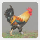 Search for fowls stickers Nature
