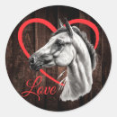 Search for arabian horse stickers Equestrian