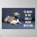 Search for pug picture posters Pet
