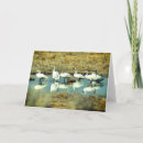 Search for migration cards Nature