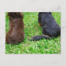 Search for rear view postcards Outdoors