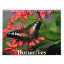 Search for wing calendars Insect