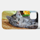 Search for purr iphone cases Cat