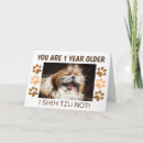 Search for shih tzu birthday cards Dog