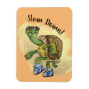 Search for slow magnets Cartoon