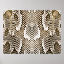 Search for python posters Texture