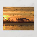 Search for migrate horizontal postcards Landscape