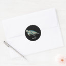 Search for turtle design labels Reptile
