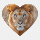 Search for male lion stickers Big cat