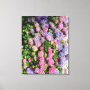 Search for bush canvas prints Hydrangea