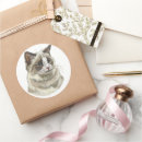 Search for ragdoll cats stickers Animal