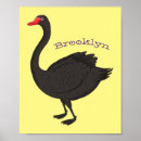 Search for black swan posters Australia