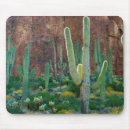 Search for saguaro mouse mats Cactus