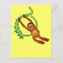 Search for great ape postcards Primate