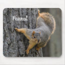 Search for squirrel mouse mats Pet