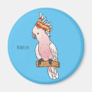 Search for majority magnets Bird