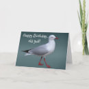 Search for gulls cards Seagull