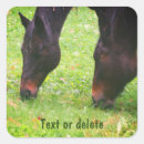 Search for grazing stickers Horse