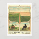 Search for vintage farm postcards Agriculture