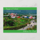 Search for irish cow postcards Cows