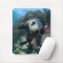 Search for seal mouse mats Young animal