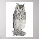 Search for pencil drawing posters Bird