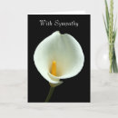 Search for lilly cards White