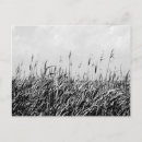 Search for triptych postcards Landscape