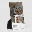 Search for memory pet supplies Photo collage