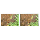 Search for wing pillowcases Nature