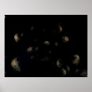 Search for jellyfish posters White