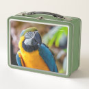Search for macaw photography Parrot