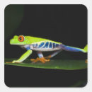 Search for red eyed tree frog stickers Colourful