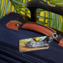 Search for lounge accessories Cat