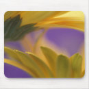 Search for close mouse mats Purple