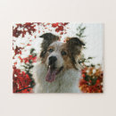 Search for australian shepherd puzzles Dog
