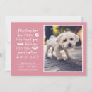 Search for pet cat invitations Puppy