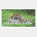 Search for jaguars stickers Panthera onca