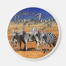 Search for zebra round magnets Stripes