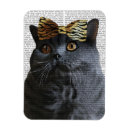 Search for bowing magnets Cat