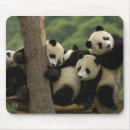 Search for baby panda electronics China