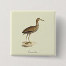 Search for heron badges Colour