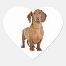 Search for dachshund love stickers Puppies
