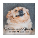 Search for memorial plaques Forever in our hearts