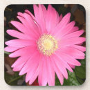 Search for gerbera barware Pink