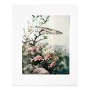 Search for barracuda art Vintage