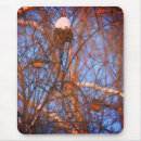 Search for robin mouse mats Nature