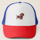 Search for weiners hats Dog