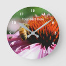 Search for honey bee clocks Daisy